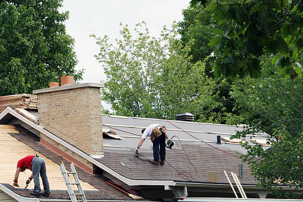 Best Roof Gutter Cleaning  in Summersville, WV